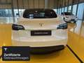 Tesla Model Y Rear-Wheel Drive Blanc - thumbnail 5