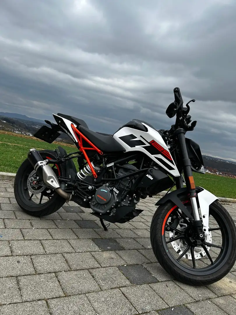 KTM 125 Duke Garagenfahrzeug HU bis 3/27 service neu extras Alb - 2