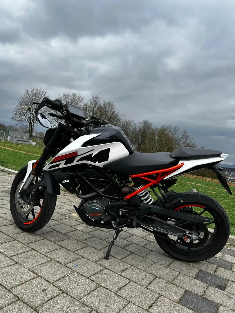 KTM 125 Duke Garagenfahrzeug HU bis 3/27 service neu extras Alb - 1