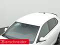 Volkswagen Polo GTI 2.0 TSI DSG NAVI BEATS LED KAMERA Weiß - thumbnail 22