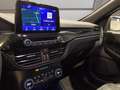 Ford Kuga 2.5 full hybrid ST-Line X awd 190cv cvt Gris - thumbnail 13