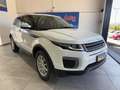 Land Rover Range Rover Evoque 2.0 TD4 150 CV 5p. Pure Bianco - thumbnail 3