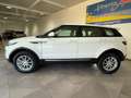 Land Rover Range Rover Evoque 2.0 TD4 150 CV 5p. Pure Bianco - thumbnail 6