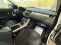 Land Rover Range Rover Evoque 2.0 TD4 150 CV 5p. Pure Bianco - thumbnail 8