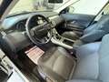 Land Rover Range Rover Evoque 2.0 TD4 150 CV 5p. Pure Bianco - thumbnail 13
