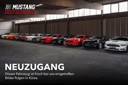 Ford Mustang GT 5.0 Fastback 55er Paket/GRAIL Deep/MagneRide/1.