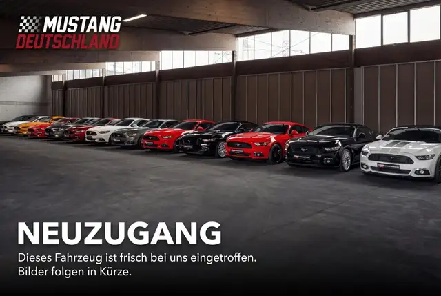 Ford Mustang GT 5.0 Fastback 55er Paket/GRAIL Deep/MagneRide/1.