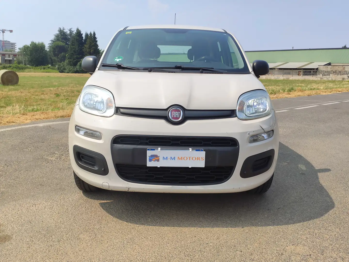 Fiat Panda Panda 1.2 Easy 69 cv *NEOPATENTATI* Wit - 2