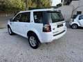 Land Rover Freelander ED4 SE Weiß - thumbnail 2