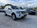 Land Rover Freelander ED4 SE Weiß - thumbnail 5