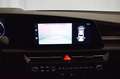 Kia Niro 1.6 gdi hev Evolution Premium Pack dct Bianco - thumbnail 12