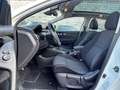 Nissan Qashqai Qashqai 1.2i 2WD Business Edition 360° NAVI Wit - thumbnail 2