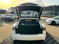 Tesla Model S MODEL S 90D | FREE SC01 | 21 TURBINE Blanc - thumbnail 14