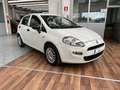 Fiat Punto 1.4 8V 5 porte Easypower Street - GPL Grigio - thumbnail 1