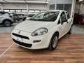 Fiat Punto 1.4 8V 5 porte Easypower Street - GPL Grigio - thumbnail 3