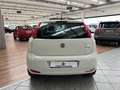 Fiat Punto 1.4 8V 5 porte Easypower Street - GPL Grigio - thumbnail 5