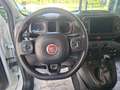 Fiat Panda 1.0 FireFly S&S Hybrid CROSS Blanco - thumbnail 16