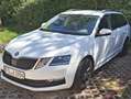 Skoda Octavia Octavia Combi 1.6 TDI Bílá - thumbnail 10