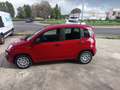 Fiat Panda Panda III 2024 1.0 firefly hybrid s Rouge - thumbnail 3