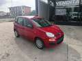 Fiat Panda Panda III 2024 1.0 firefly hybrid s Rouge - thumbnail 8