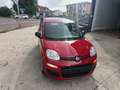 Fiat Panda Panda III 2024 1.0 firefly hybrid s Rouge - thumbnail 9