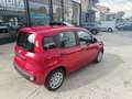 Fiat Panda Panda III 2024 1.0 firefly hybrid s Rouge - thumbnail 6