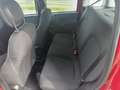 Fiat Panda Panda III 2024 1.0 firefly hybrid s Rouge - thumbnail 10