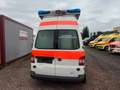 Volkswagen T5 AMBULANZ HORNIS Weiß - thumbnail 5