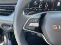 Skoda Kamiq Extra Plus 1,5 TSI DSG 2Zokli 2x Einparkhilfe A... Grau - thumbnail 12