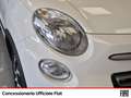Fiat 500L cross 1.4 mirror city cross 95cv Blanc - thumbnail 19