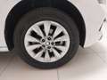 Skoda Kamiq - Kamiq 1.0 TSI Ambition Bianco - thumbnail 10
