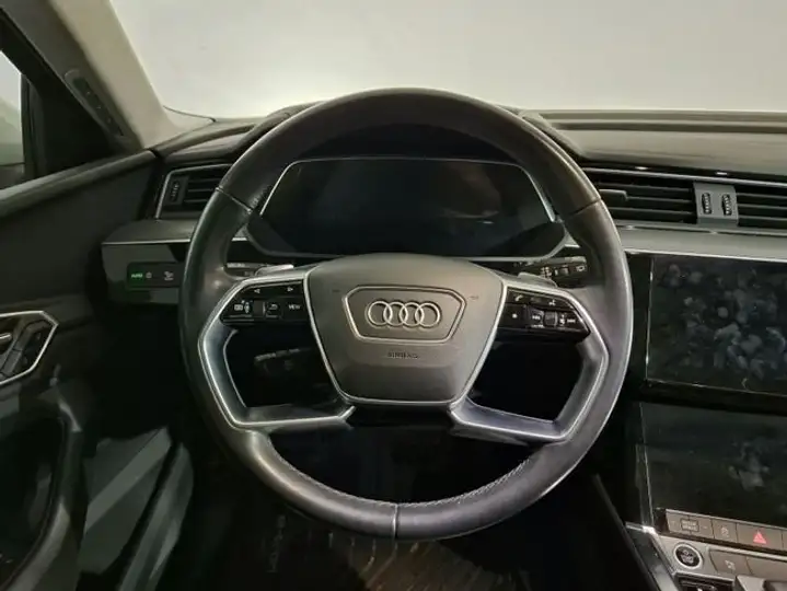 Audi e-tron 50 quattro 2022, foto 6