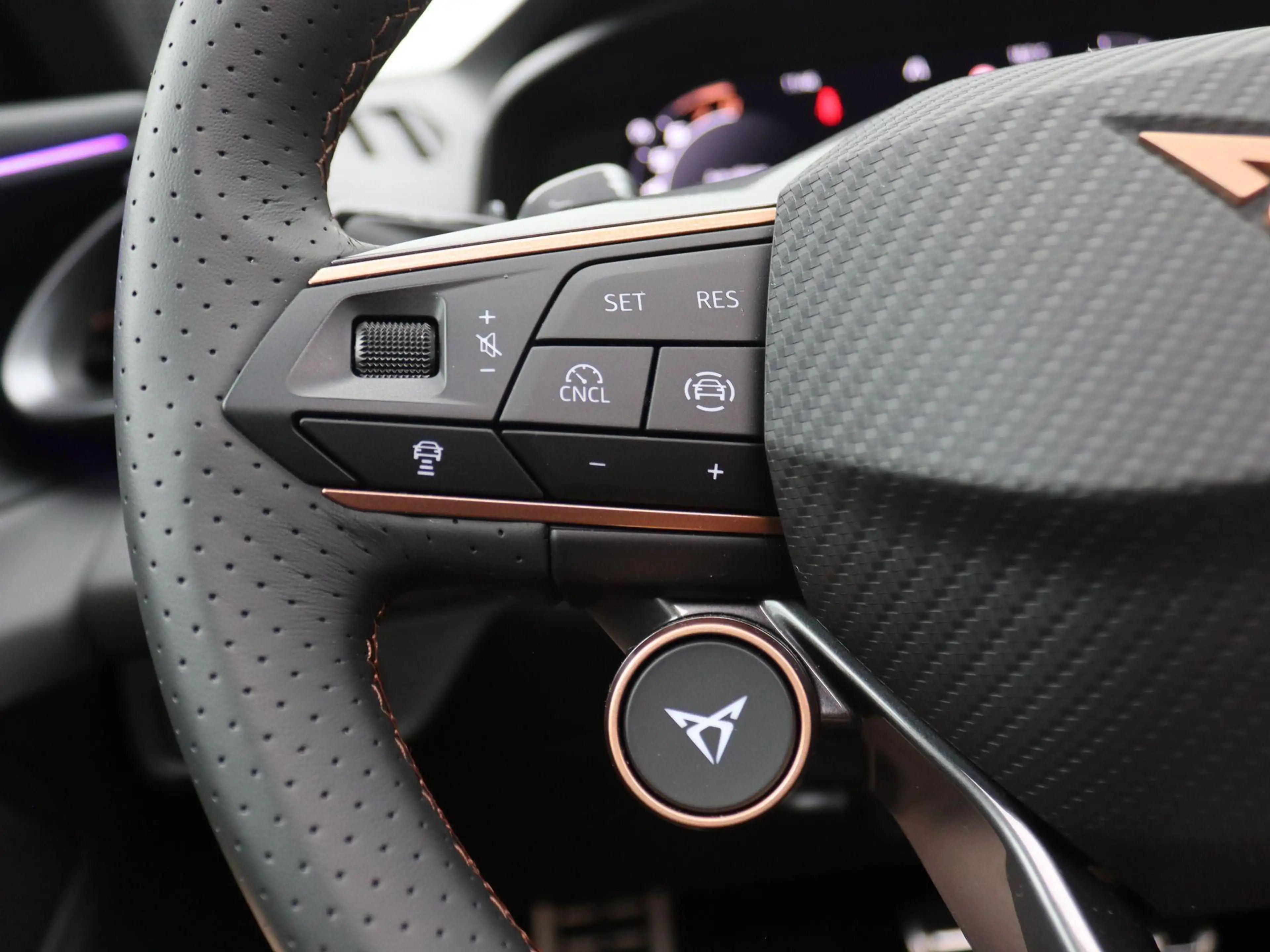 CUPRA Terramar 1.5 TSI e-Hybrid VZ Performance 272PK DSG Pano-sch — photo 19