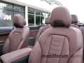 BMW 440 xDrive Cabrio Klimasitze ACC StandHZG HUD Grigio - thumbnail 14