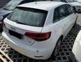 Audi A3 A3 SPB 1.6 TDI Sport Bianco - thumbnail 11