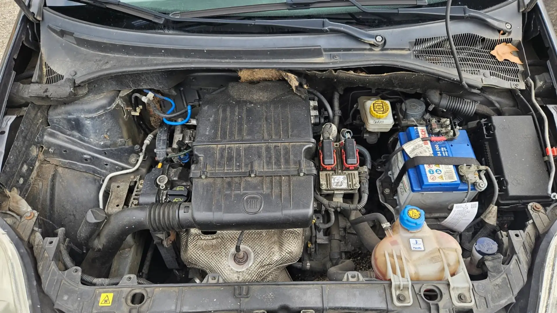 Fiat Punto Punto 1.2 16V Dynamic - 2