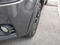Suzuki Ignis Ignis 1,2 DualJet Jacques Lemans Shine 4WD Jacques Lemans Shine Grau - thumbnail 11
