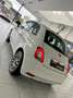 Fiat 500 1.0i MHEV Dolcevita hybride   ***NEW*** Blanc - thumbnail 10