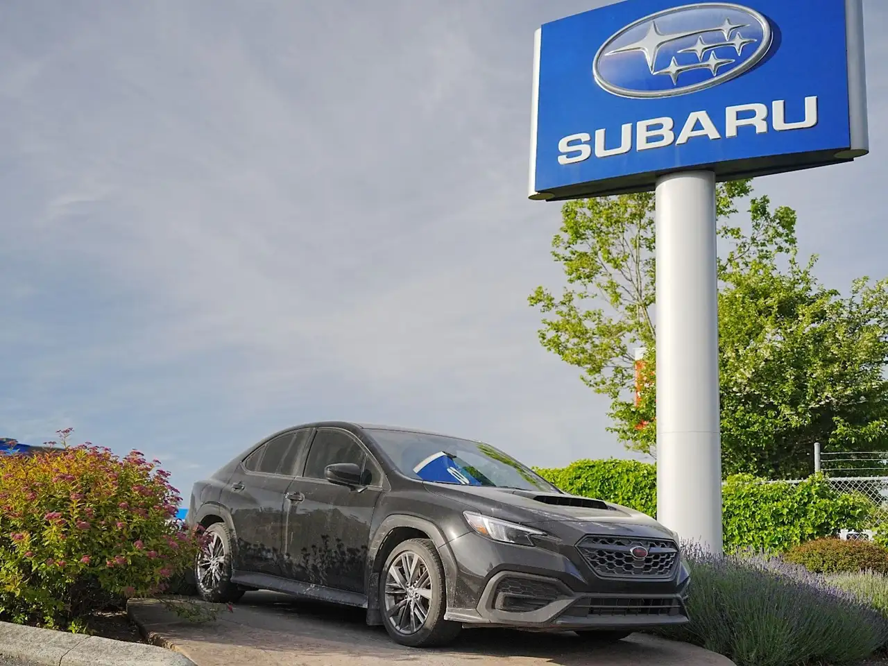 2024 Subaru WRX