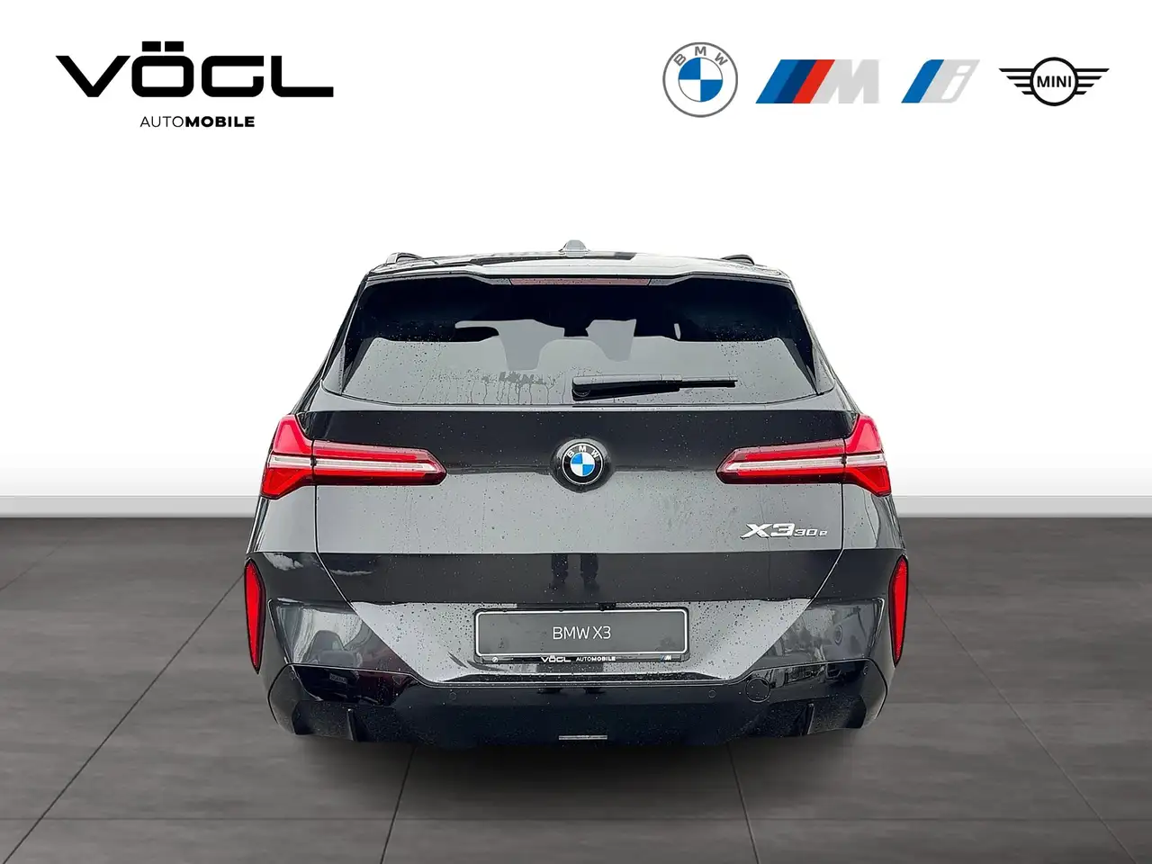 BMW X3 30e xDrive M Sportpaket HK HiFi DAB LED RFK 8