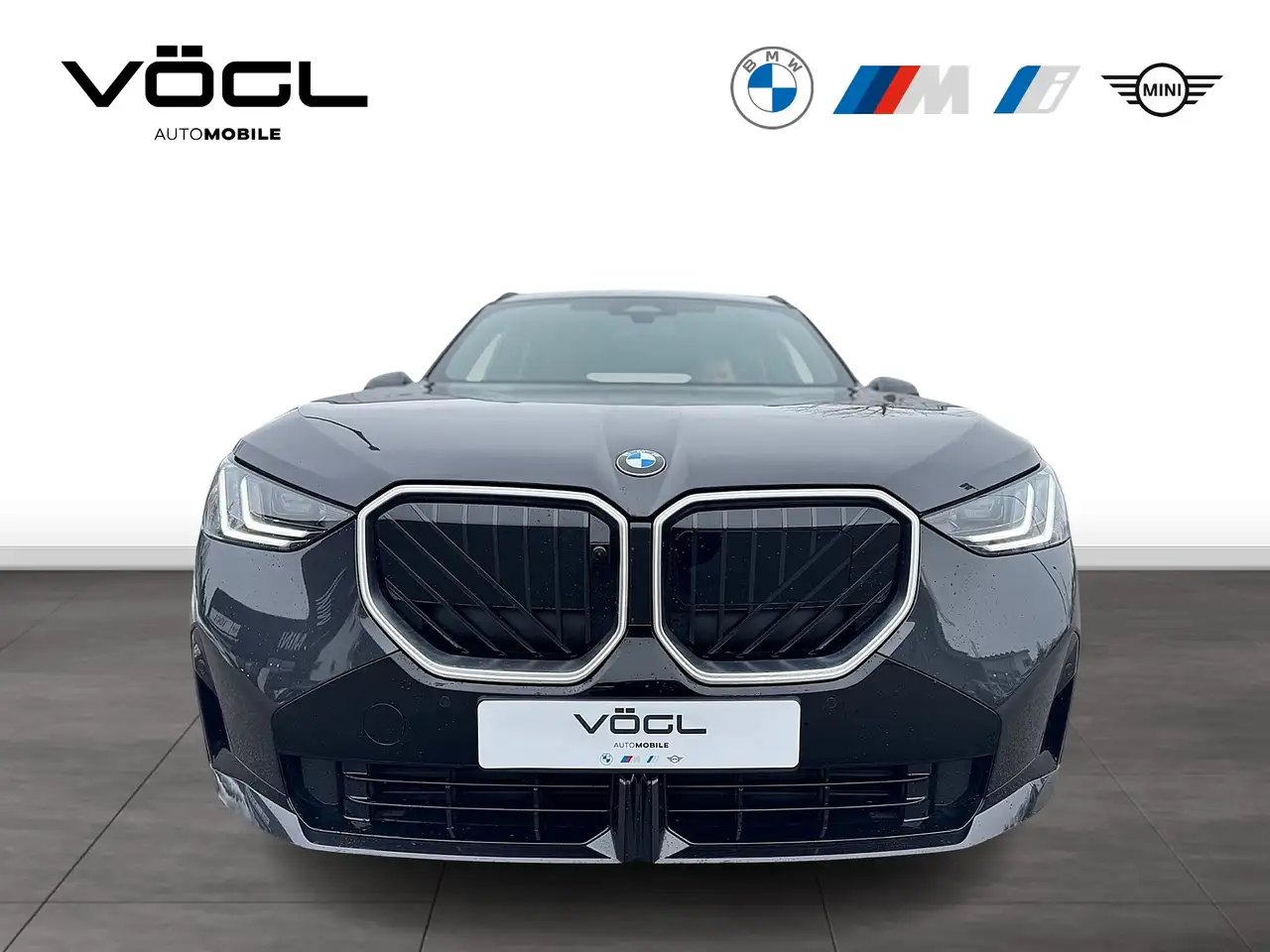 BMW X3 30e xDrive M Sportpaket HK HiFi DAB LED RFK 7