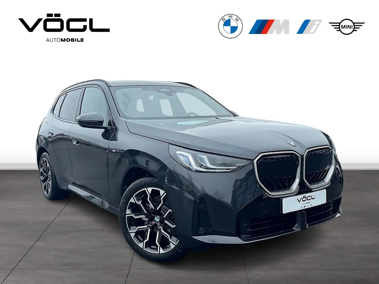 BMW X3 30e xDrive M Sportpaket HK HiFi DAB LED RFK 2