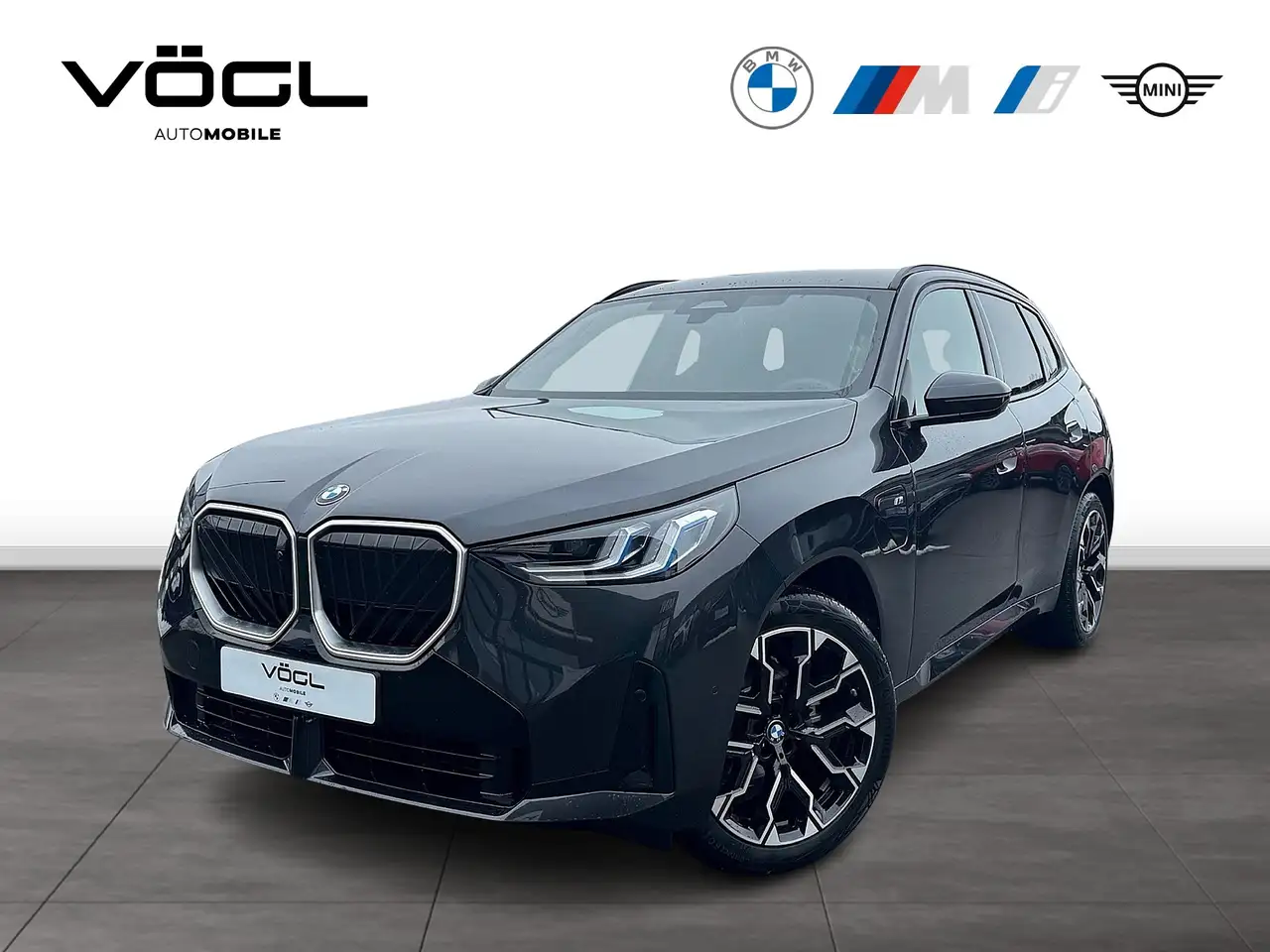 BMW X3 30e xDrive M Sportpaket HK HiFi DAB LED RFK