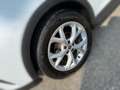 SEAT Arona 1.0 Eco TSI FR Weiß - thumbnail 5