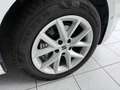 SEAT Leon Sportstourer Style 2.0TDI Navi LED ACC Blanco - thumbnail 23