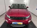 Land Rover Range Rover Evoque 3p 2.2 sd4 Pure 190cv auto 9m Rouge - thumbnail 6