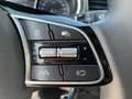 Kia Ceed / cee'd ceed 1,0 T-GDI GPF Titan Blau - thumbnail 13
