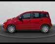 Fiat Panda My25 1.0 70cv Hybrid Panda Rosso - thumbnail 6