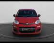 Fiat Panda My25 1.0 70cv Hybrid Panda Rosso - thumbnail 3