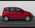 Fiat Panda My25 1.0 70cv Hybrid Panda Rosso - thumbnail 5
